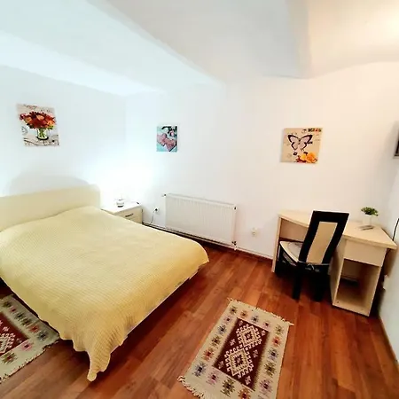 Apartment Castelului 2 *
