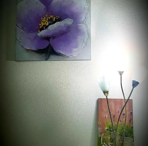 Castelului 2 公寓 布拉索夫