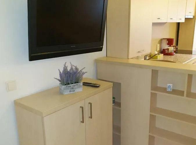 Castelului 2 * 布拉索夫